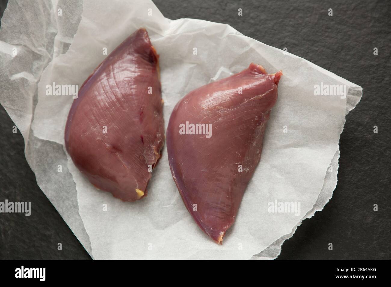 Due filetti di piccione in legno crudo, Columba palumbus, provenienti da un piccione in legno sparato con un fucile caricato con pellet di piombo per proteggere le colture Foto Stock