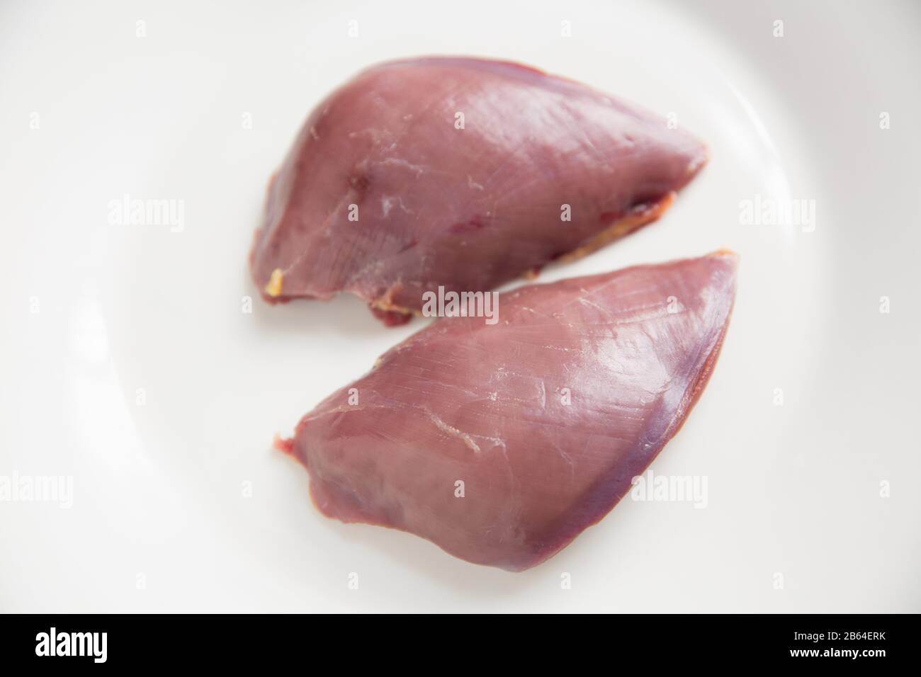 Due filetti di piccione in legno crudo, Columba palumbus, provenienti da un piccione in legno sparato con un fucile caricato con pellet di piombo per proteggere le colture Foto Stock