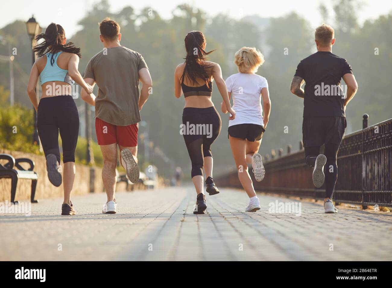 Gruppo di corridori nel parco la mattina. Foto Stock