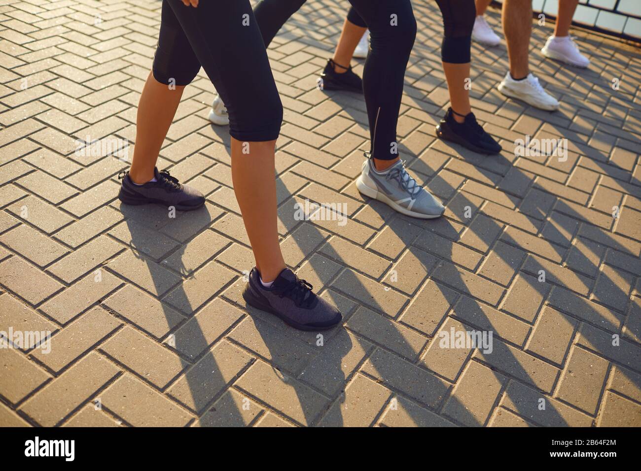 Gambe di un gruppo di sportivi corridori di persone su una pista in un parco. Foto Stock