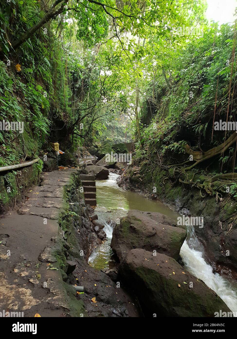 Sacro Santuario della Foresta delle Scimmie, Ubud, Bali, Indonesia Foto Stock