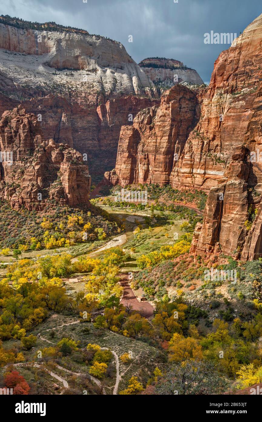 Zion Canyon nella zona di Big Bend, Angels Landing sulla sinistra, l'organo nel centro, Cathedral Mountain in dist, fine ottobre, Zion National Park, Utah, USA Foto Stock