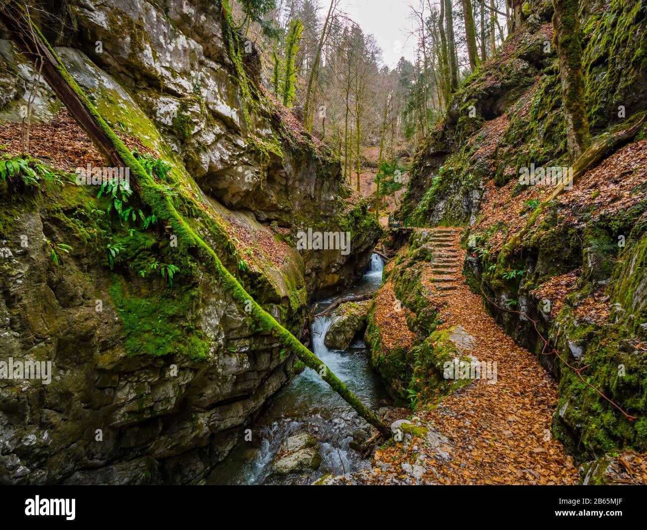 Piccolo fiume Curak in Zeleni vir vicino Skrad in Croazia panoramico fine stagione invernale Foto Stock