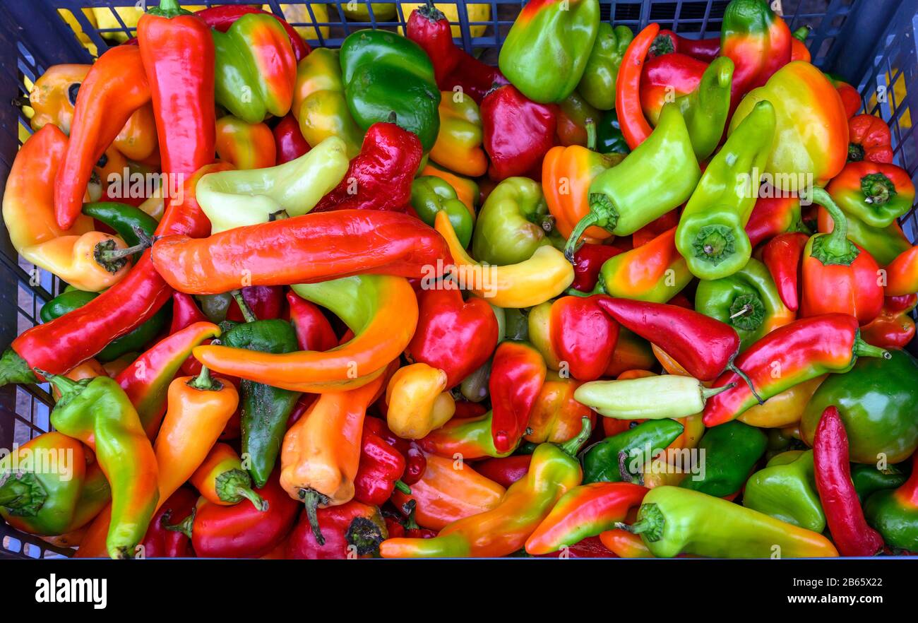 Una varietà di colorati romano e peperoni in vendita sul mercato di Kalamata, nel Peloponneso, nel sud della Grecia. Foto Stock