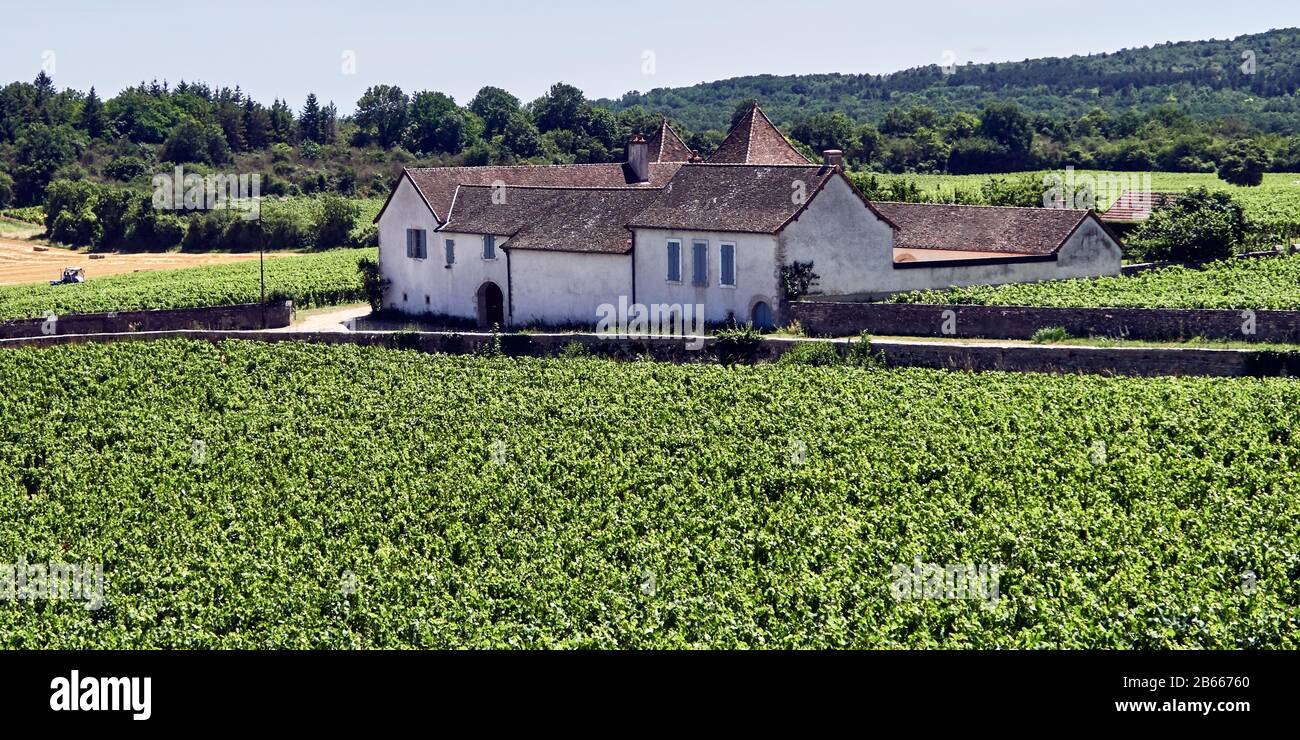 Europa, Francia, Bourgogne-Franche-Comté, dipartimento, villaggio di Rully in Vallée des Vaux (Valle dei Vaux) è stato concesso il suo AOC nel 1939 e ora produce vini rossi (Pinot Nero) e vini bianchi (Chardonnay) Foto Stock
