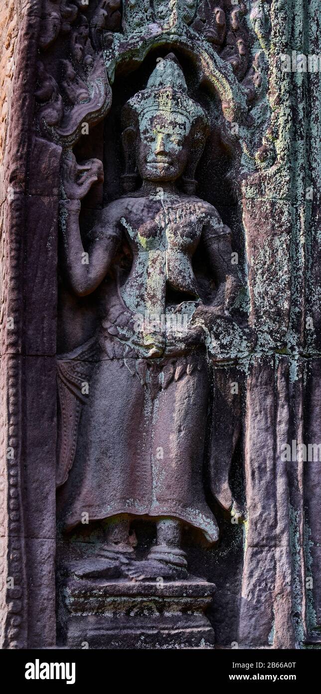 Cambogia-Angkor Ta Prohmscultura di pietra di Apsara Devata. Un Apsarasa o Apsarasa è uno spirito femminile delle nuvole e delle acque nella mitologia indù e buddista. Deva è il termine indù per la divinità, i devatas sono una sorta di devas più piccoli e focalizzati Foto Stock