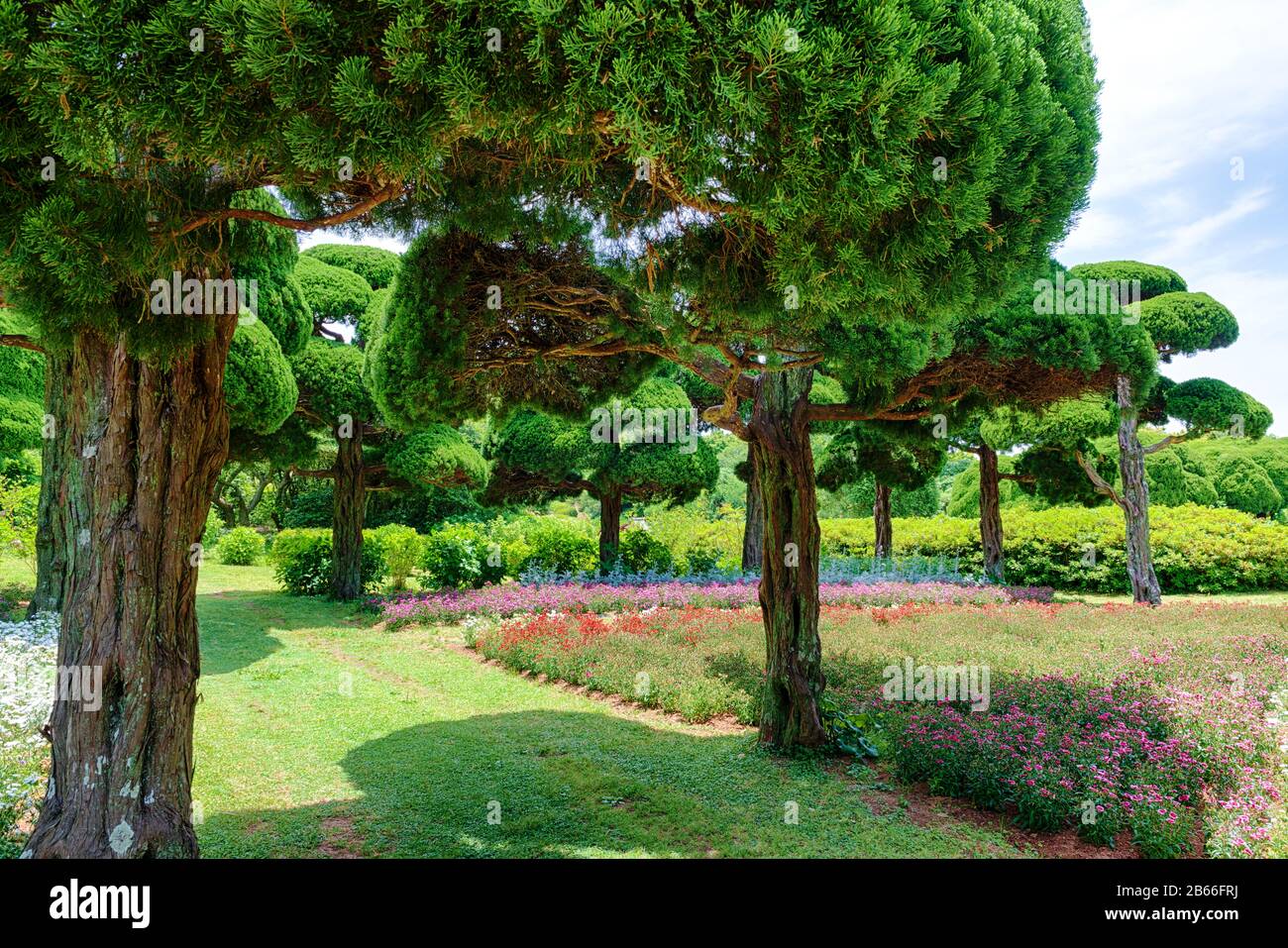Design paesaggistico in primavera giardino giapponese Foto Stock