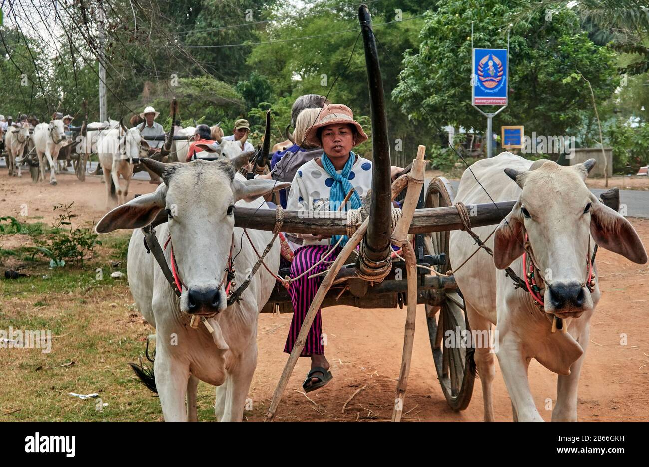 Cambogia, Provincia Di Siem Reap. Tradizionale KAMPONG TRALACH villaggio agricolo, villaggio rurale. Carri bue Foto Stock