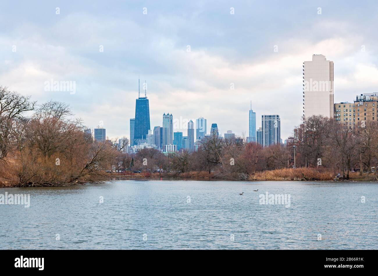 Chicago, il/USA - 26 dicembre 2019: Oasi naturalistica nello stagno del Nord al lincoln Park e allo skyline di chicago. Foto Stock