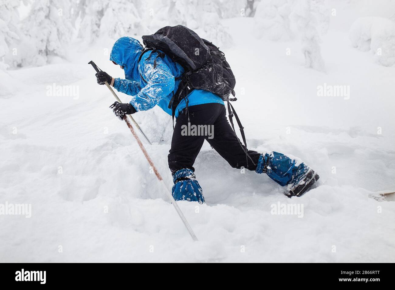 uomo da solo in viaggio sugli sci nei boschi innevati invernali, avventura e concetto di ricreazione Foto Stock