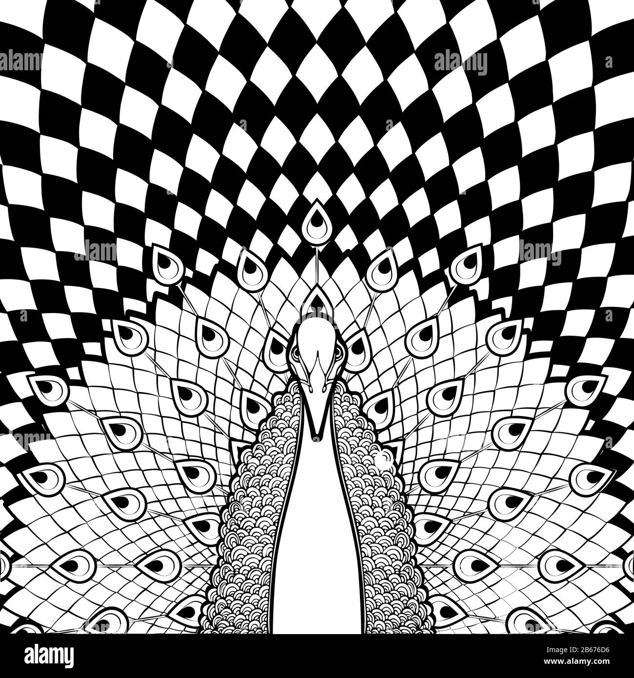 Pavone bianco nero con coda scorrevole su sfondo geometrico, colorazione, uccello, modello banner, copertine, poster, disegno monocromatico cartoon, stilizzato Illustrazione Vettoriale