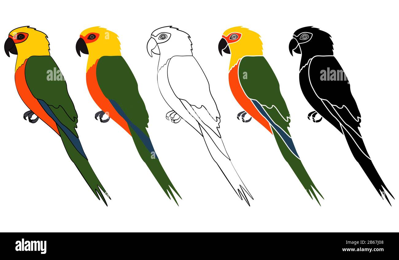 Jandaia uccello in vista profilo Illustrazione Vettoriale