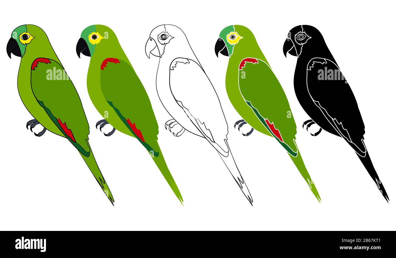 Papagaio verdadeiro uccello nella vista profilo Illustrazione Vettoriale