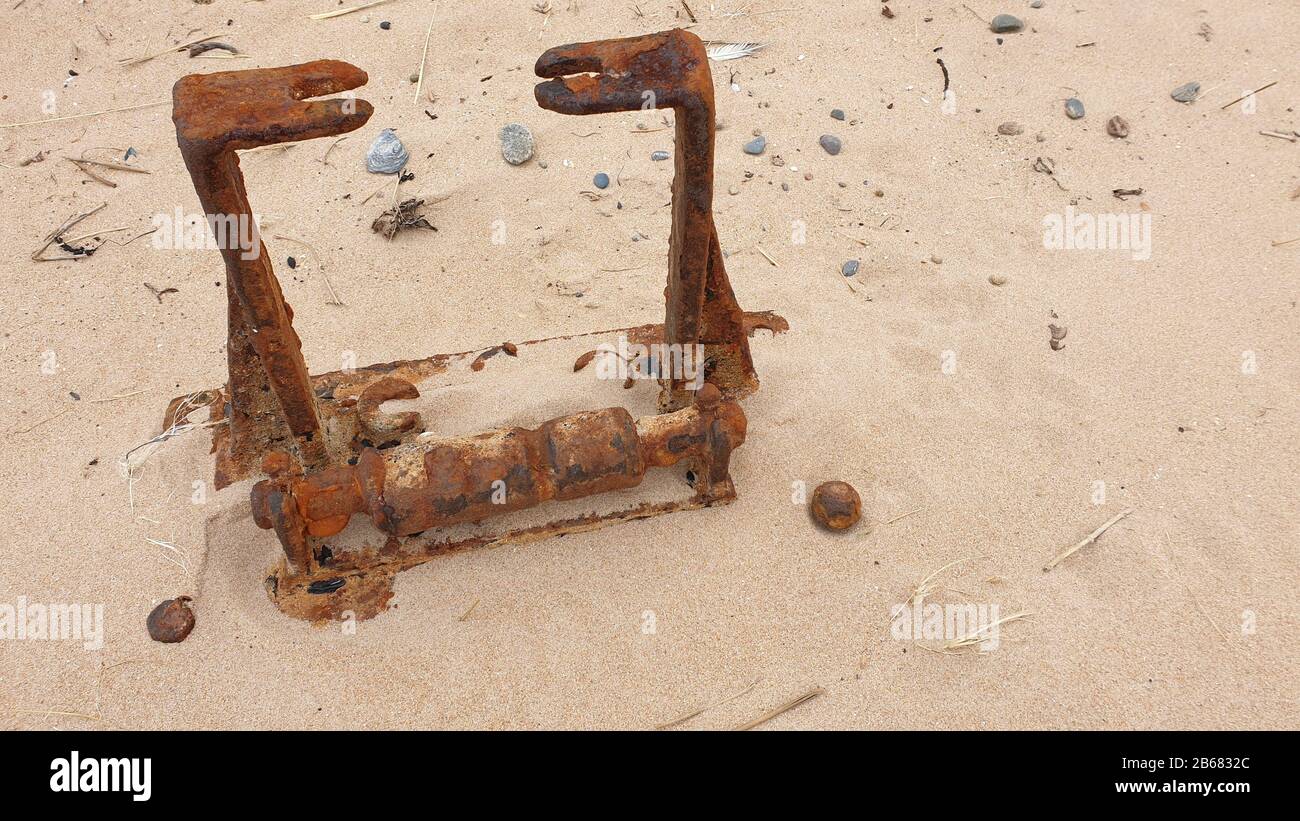 Detriti lavati sul mare Foto Stock