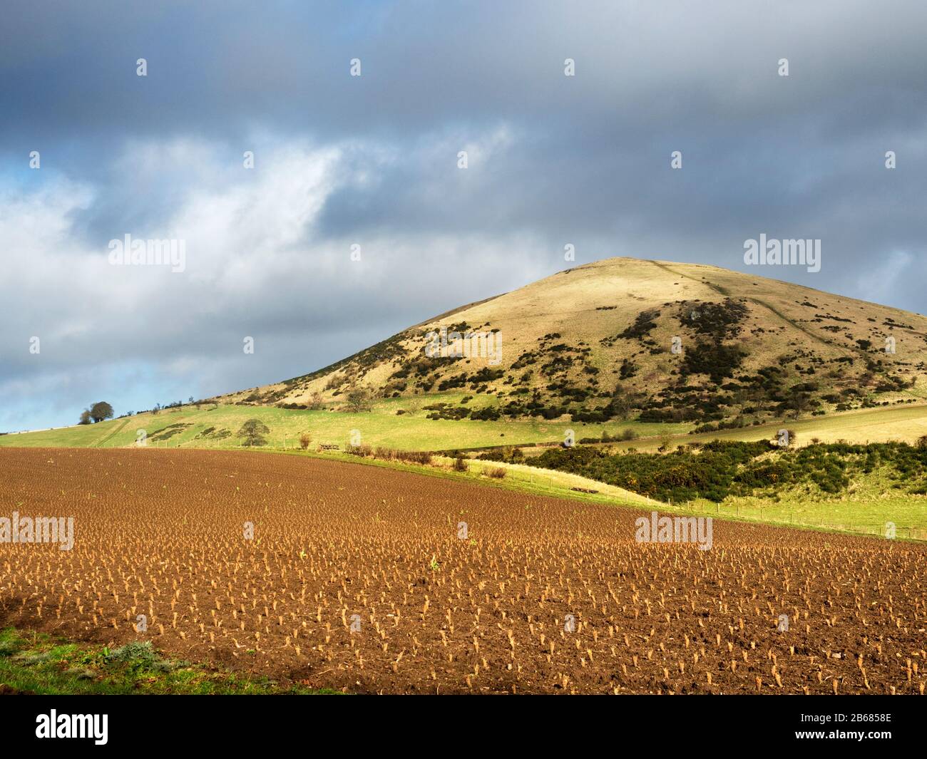 Largo Law 290m collina conica vicino Upper Largo Fife Scozia Foto Stock