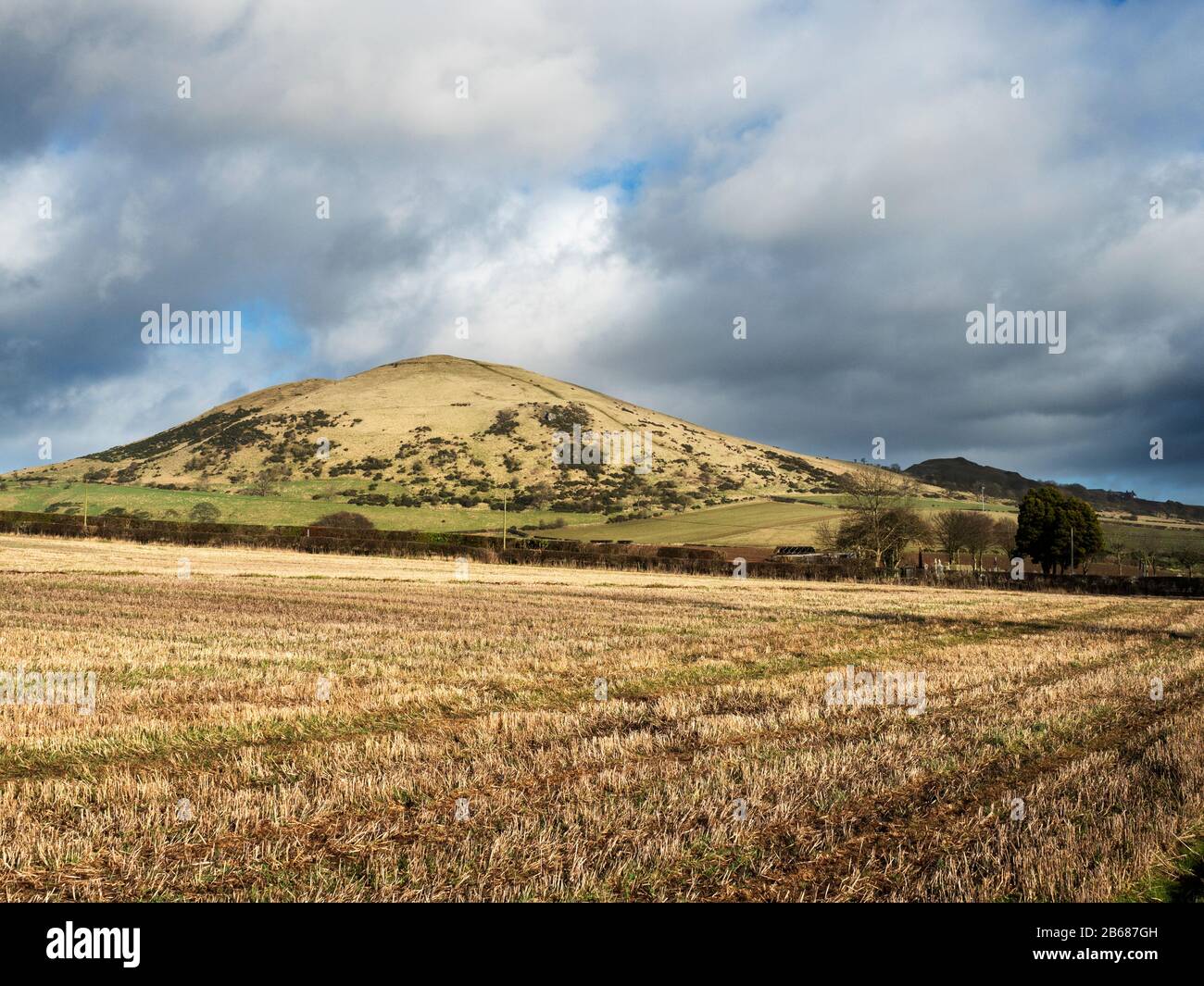 Largo Law 290m collina conica vicino Upper Largo Fife Scozia Foto Stock