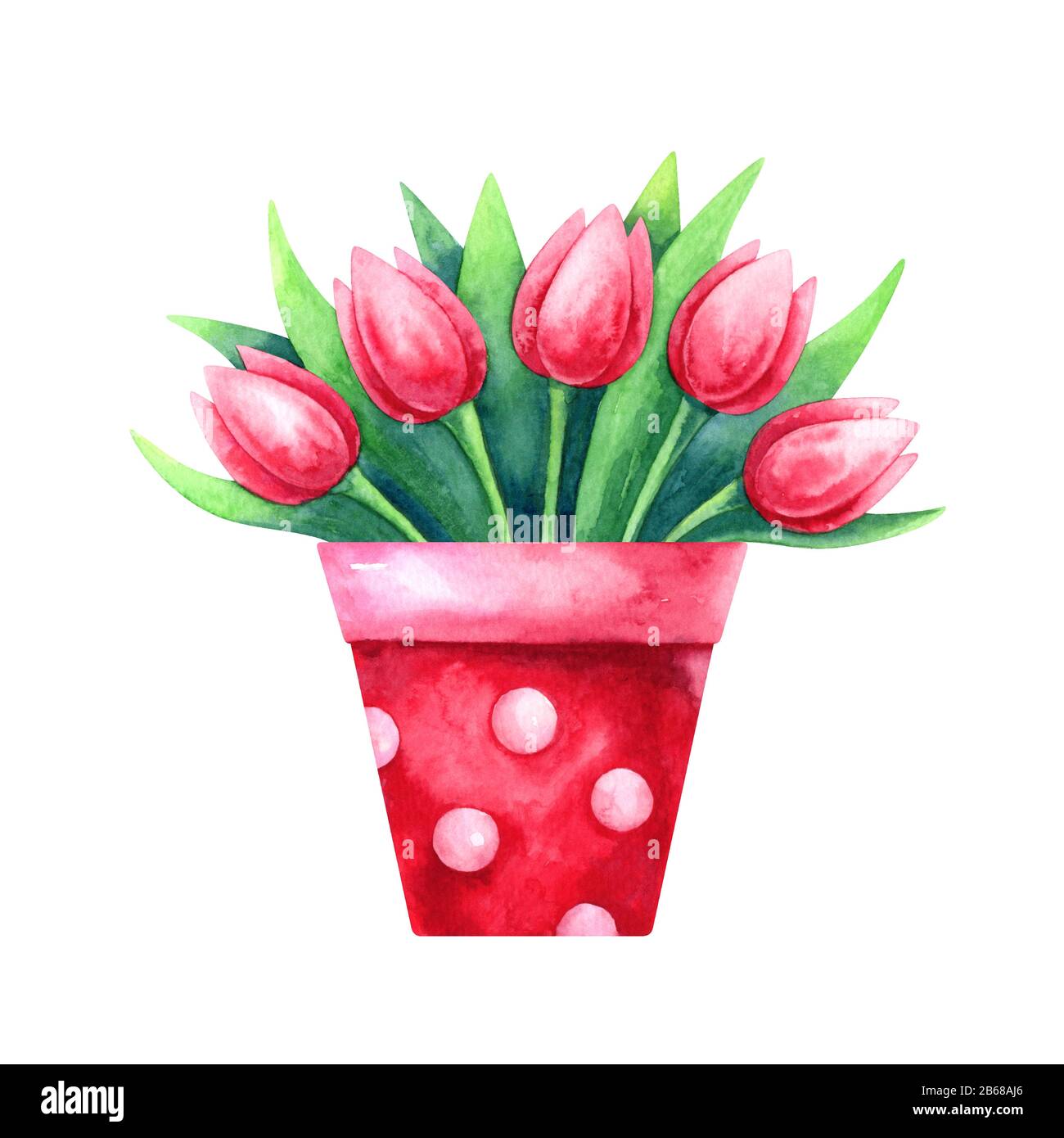 Illustrazione acquerello del bouquet di tulipano Foto Stock