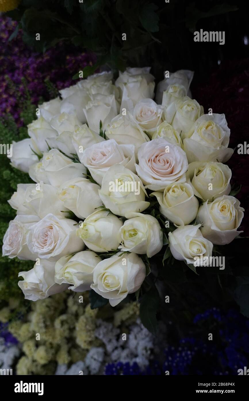 Bianco Roses Sfondo. Varietà di rose bianche in bouquet bellissimo. Bouquet  nuziale di rosa bianca in colori vivaci nel negozio di fiori sul mercato  Foto stock - Alamy