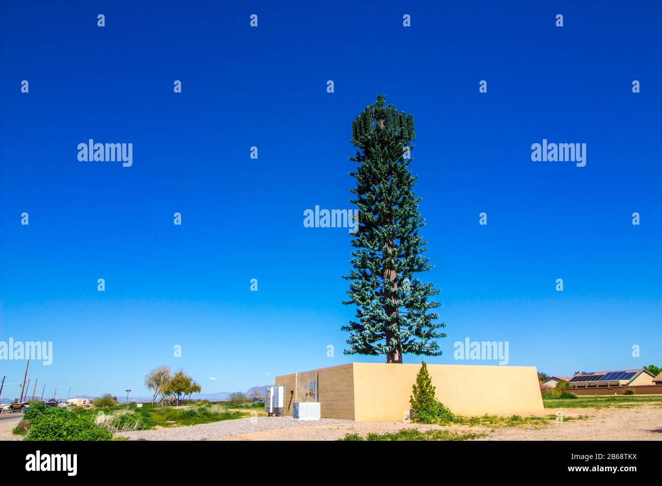 Neighborhood Cellular Phone Tower Travestito Da Tree Foto Stock