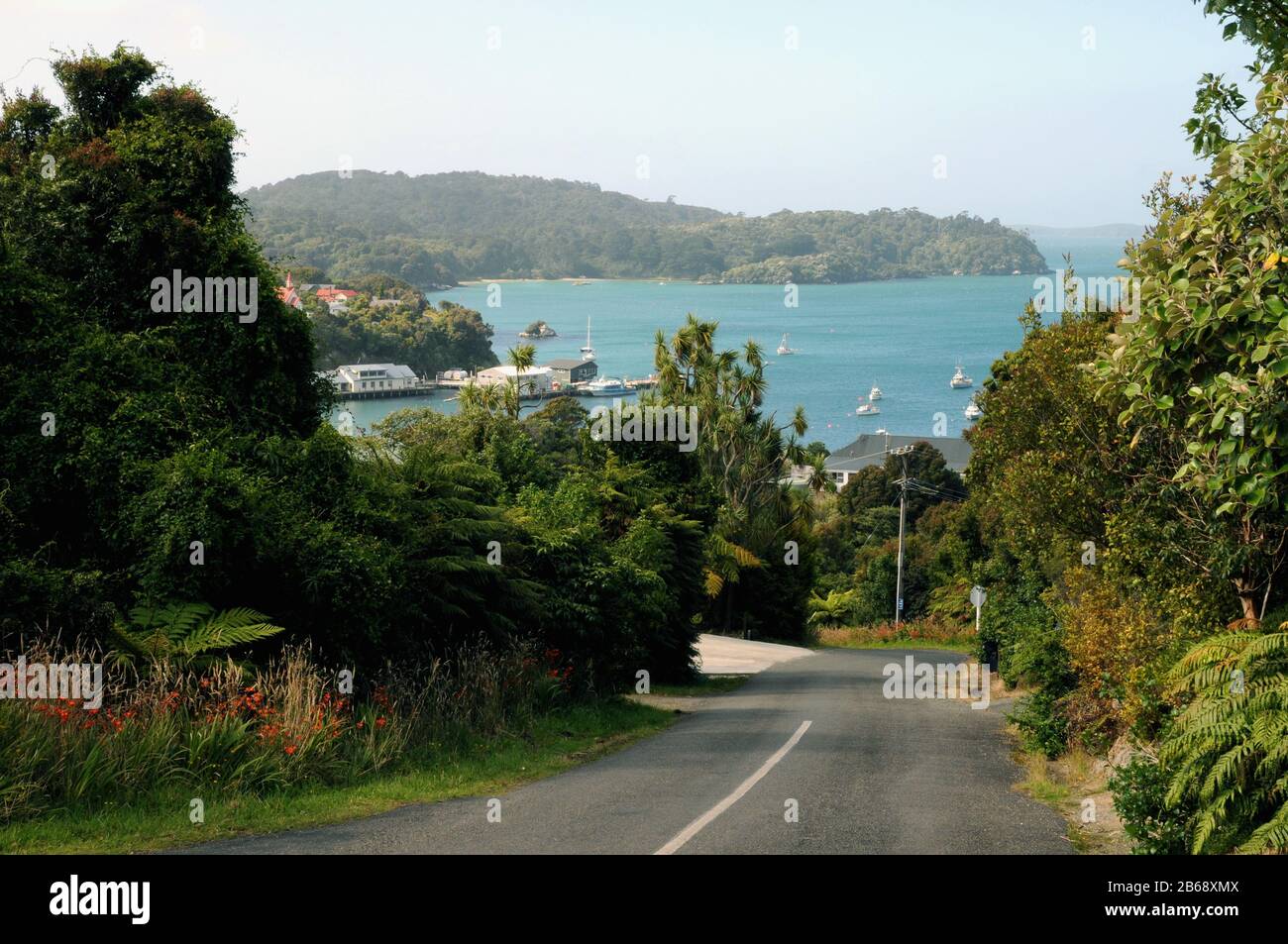 Guardando verso il basso verso Oban Township e Half Moon Bay sull'isola di Stewart, nell'estremo sud dell'isola del Sud delle Nuova Zelanda. Foto Stock