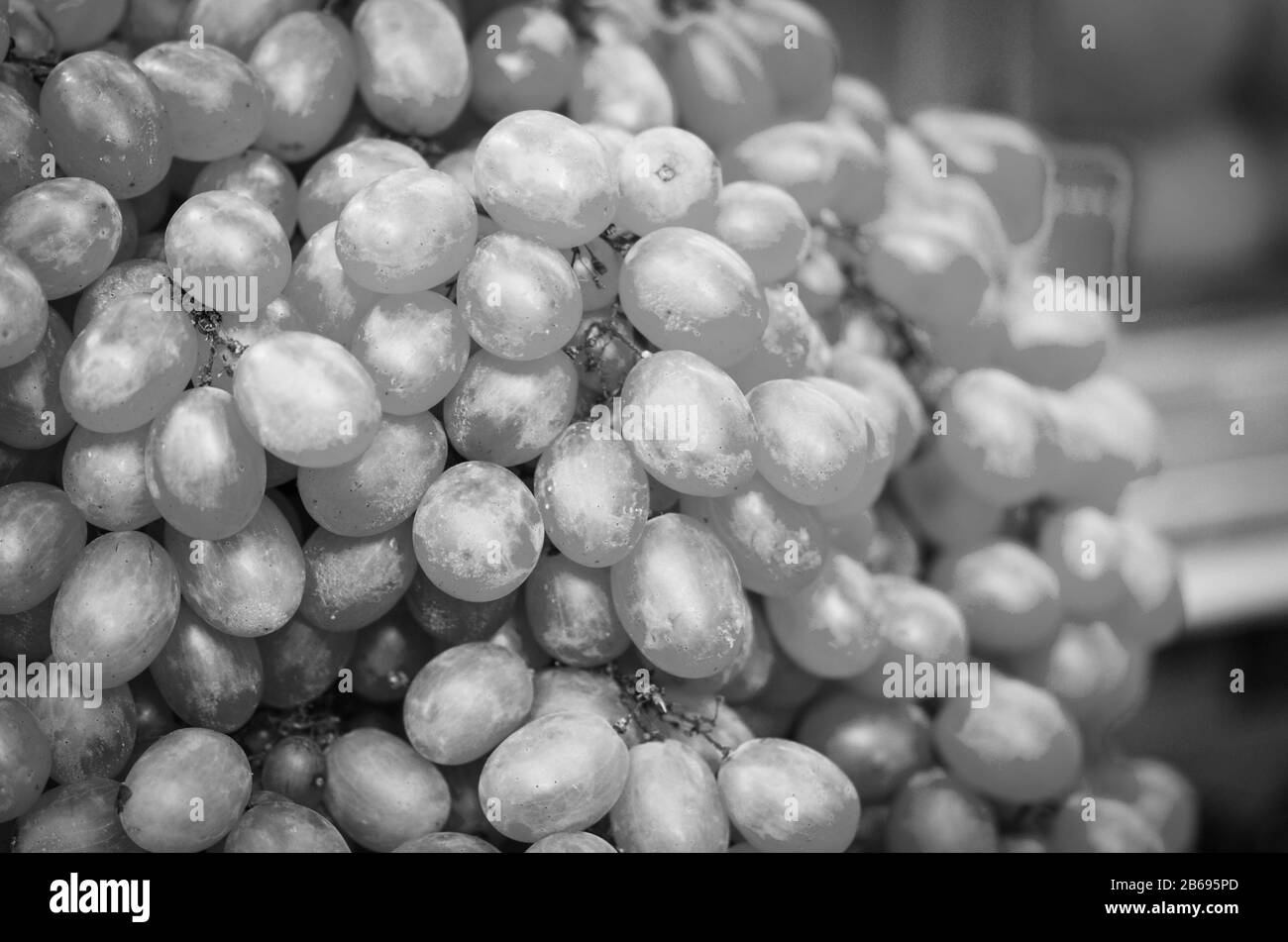 frutta fresca in primo piano all'interno del mercato italiano Foto Stock