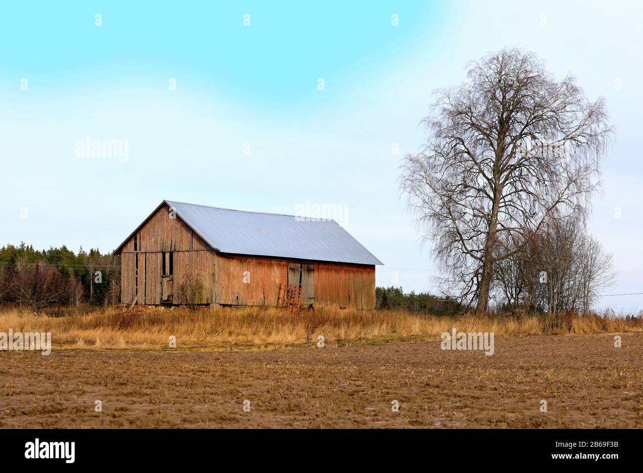 Vecchio, nostalgico fienile paese visto giorni migliori con un albero e campo coltivato in un giorno semi soleggiato di primavera. Somero, Finlandia. 7 Marzo 2020. Foto Stock