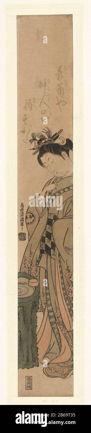 Attore Segawa Kikunojo II in ruolo femminile Acteur in vrouwiscrivi gekleed in kimono met patroon van pruimenbloesem en waaiers, op blote voeten staand bij waterbekken; bovenaan een gedicht. Produttore : prentmaker: Torii Kiyomitsu (i) (vermeld op object)uitgever: Mikawaya Rihan (Rihei; Hosendo) (vermeld op object)Plats fabbricante: Giappone datazione: 1760 - 1765 kenmerken Fisici: Kleurenhoutsnede; lijnblok in zwart met kleurkokken Materiale: ×-Wikerhunkneu Foto Stock