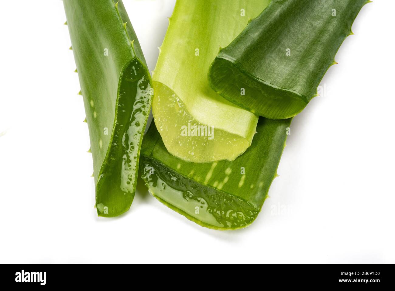 Rami di Aloe isolati su sfondo bianco Foto Stock