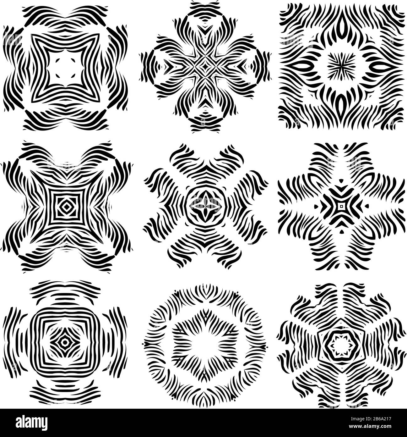 Calligrafica elementi decorativi per il design creativo compiti Illustrazione Vettoriale