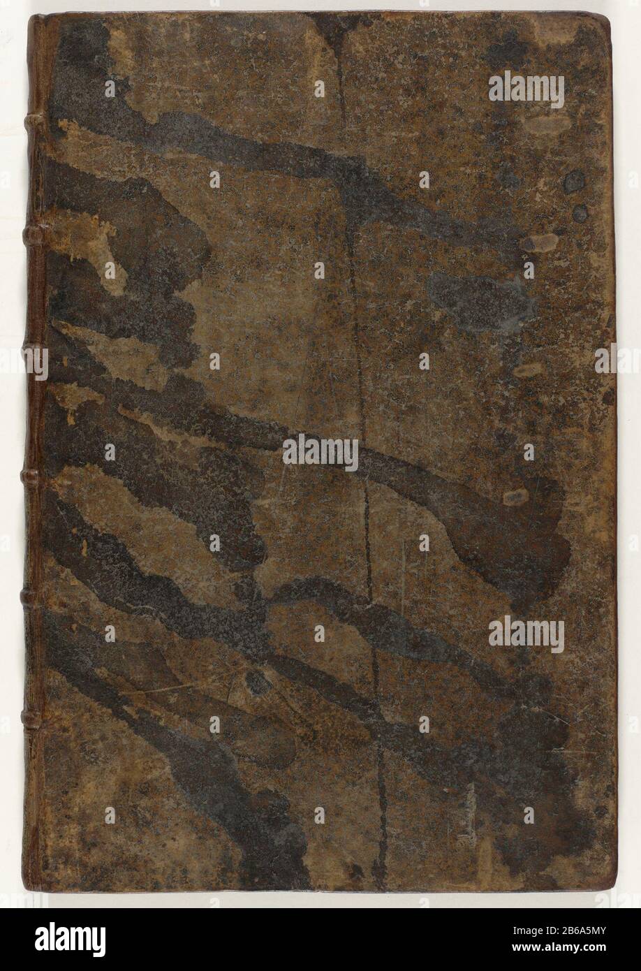 Album con bouquet di Jean-Baptiste Monnoyer e paesaggi di Nicolas Perelle Quattro set progettati con vasi di fiori e cesti di fiori e inciso da Jean-Baptiste Monnoyer 1. Livres i Plusieurs Vaze i faicts Fleurs d'Apres le Natural (nove stampe con grandi vasi di fiori). 2. Livres de Plusieurs Paniers (quattro stampe con enormi cesti di fiori. 3. Les Petits Bouquets (quattro stampe con mazzi legati). 4. Les vasi diafanes (otto stampe con bouquet in vasi di vetro.) Tutte le stampe in stampa il primo stato, l'indirizzo di F. de Poilly, e in condizione intatta 5. Serie di sei Foto Stock