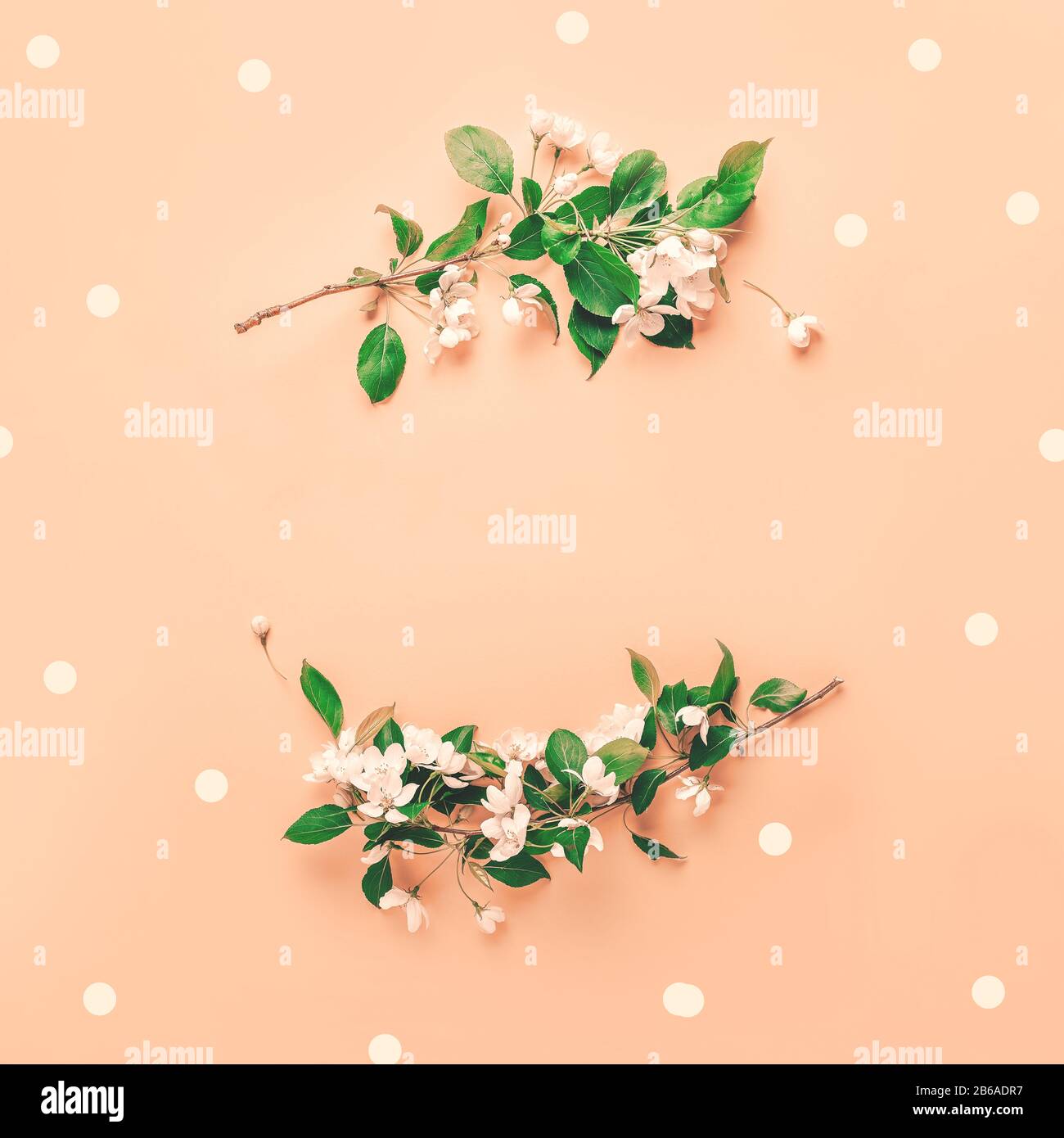 Layout creativi con rigogliosi alberi di Apple su un sfondo rosa. Lay piatto. Concetto - molla minimalismo. Foto Stock
