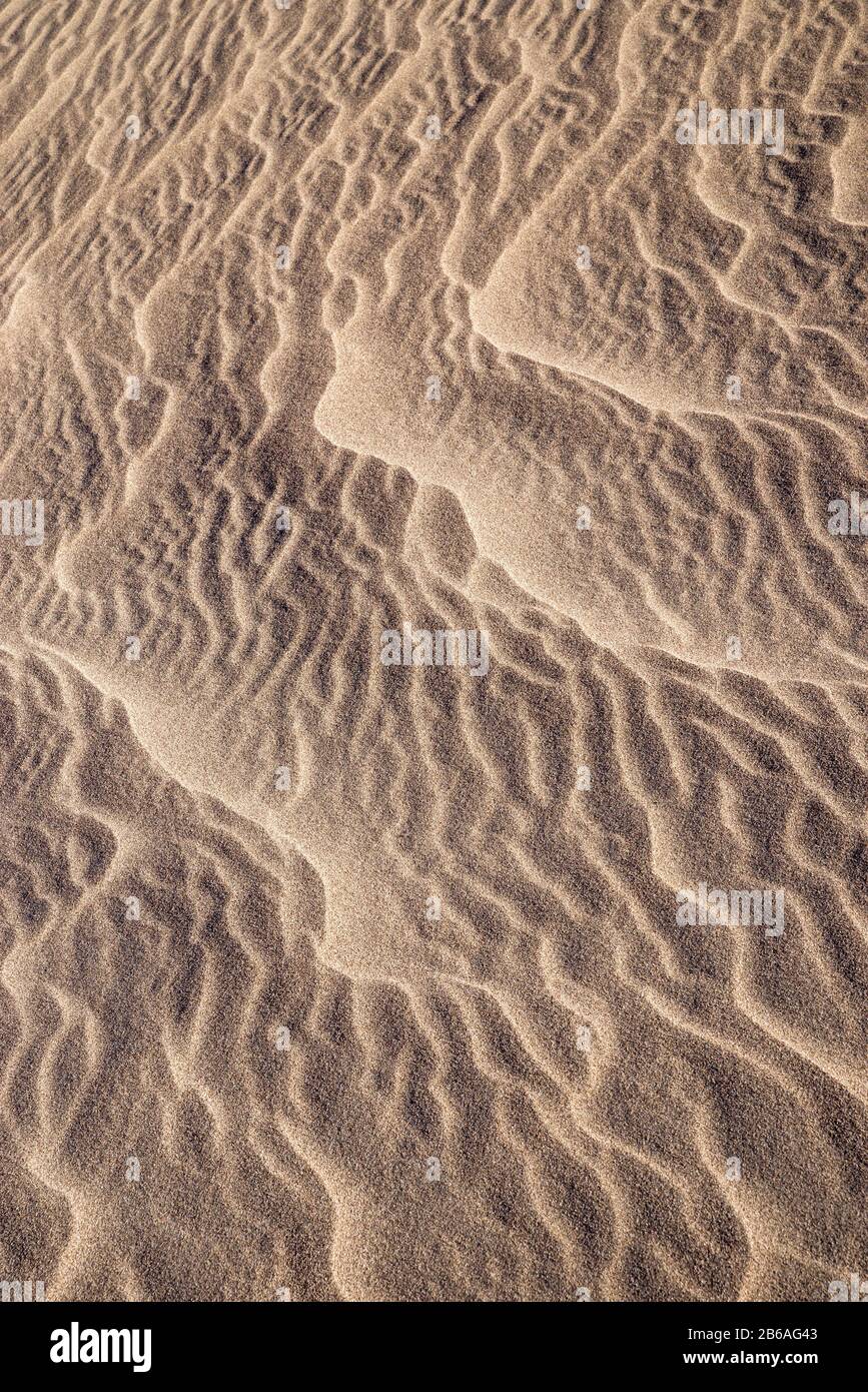 immagine di sfondo verticale di increspature di sabbia su una faccia di dune di sabbia Foto Stock