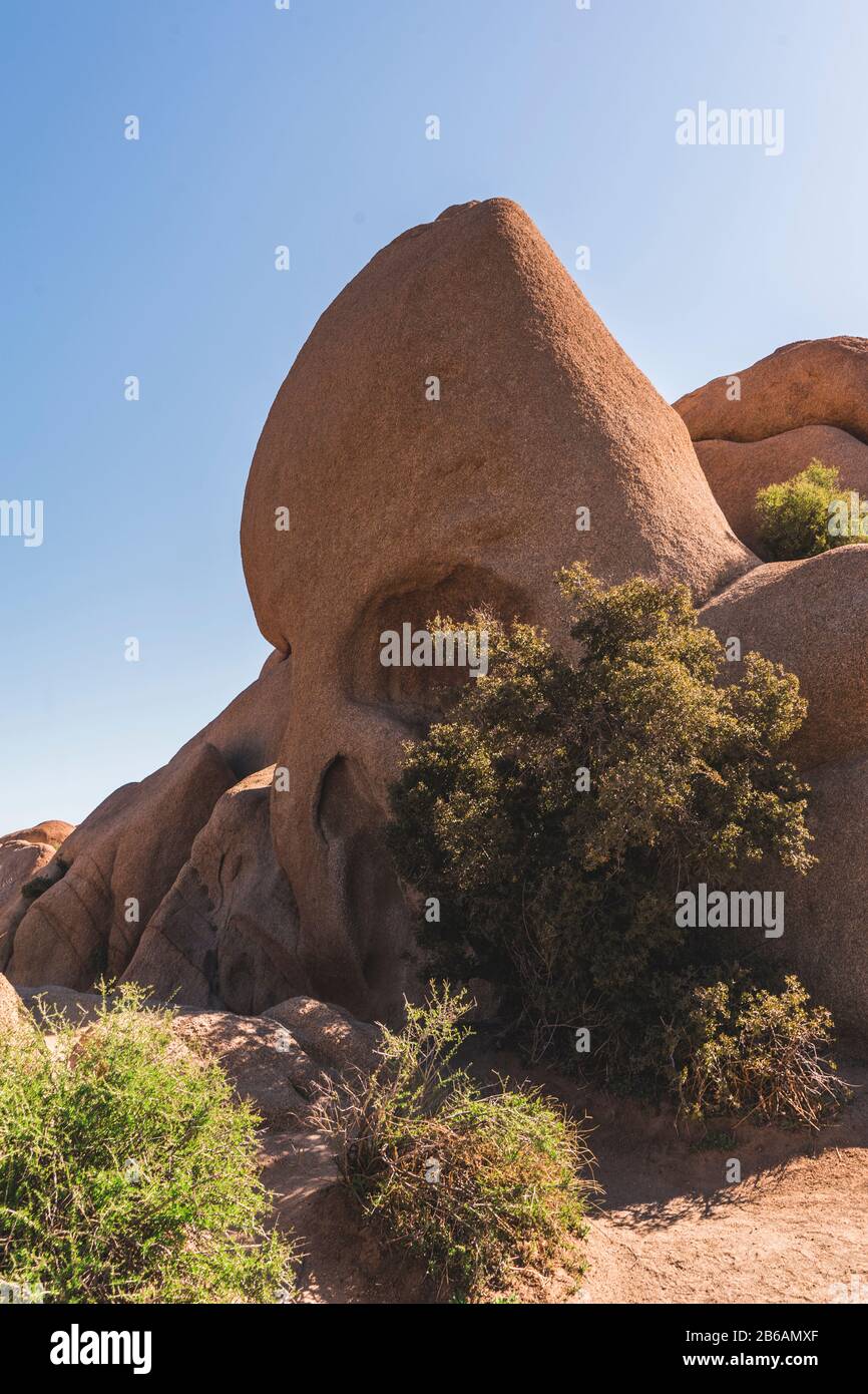 Cranio Rock (Joshua Tree National Park) Foto Stock