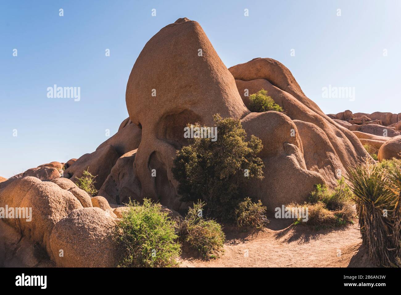 Cranio Rock (Joshua Tree National Park) Foto Stock