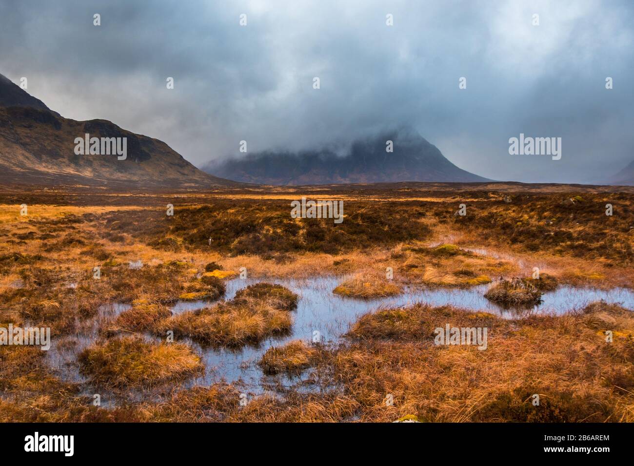 Buachaille Etive Mor avvolto in nuvole con acqua paludosa e erba in primo piano. Glencoe, Scozia Foto Stock