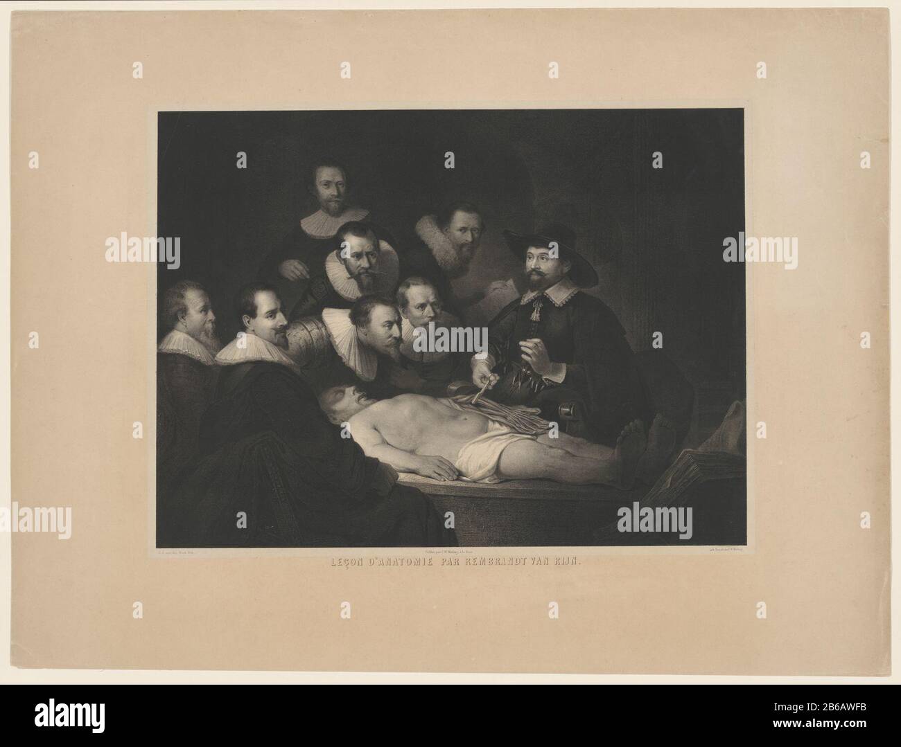 Lezione di anatomia del dott immagini e fotografie stock ad alta