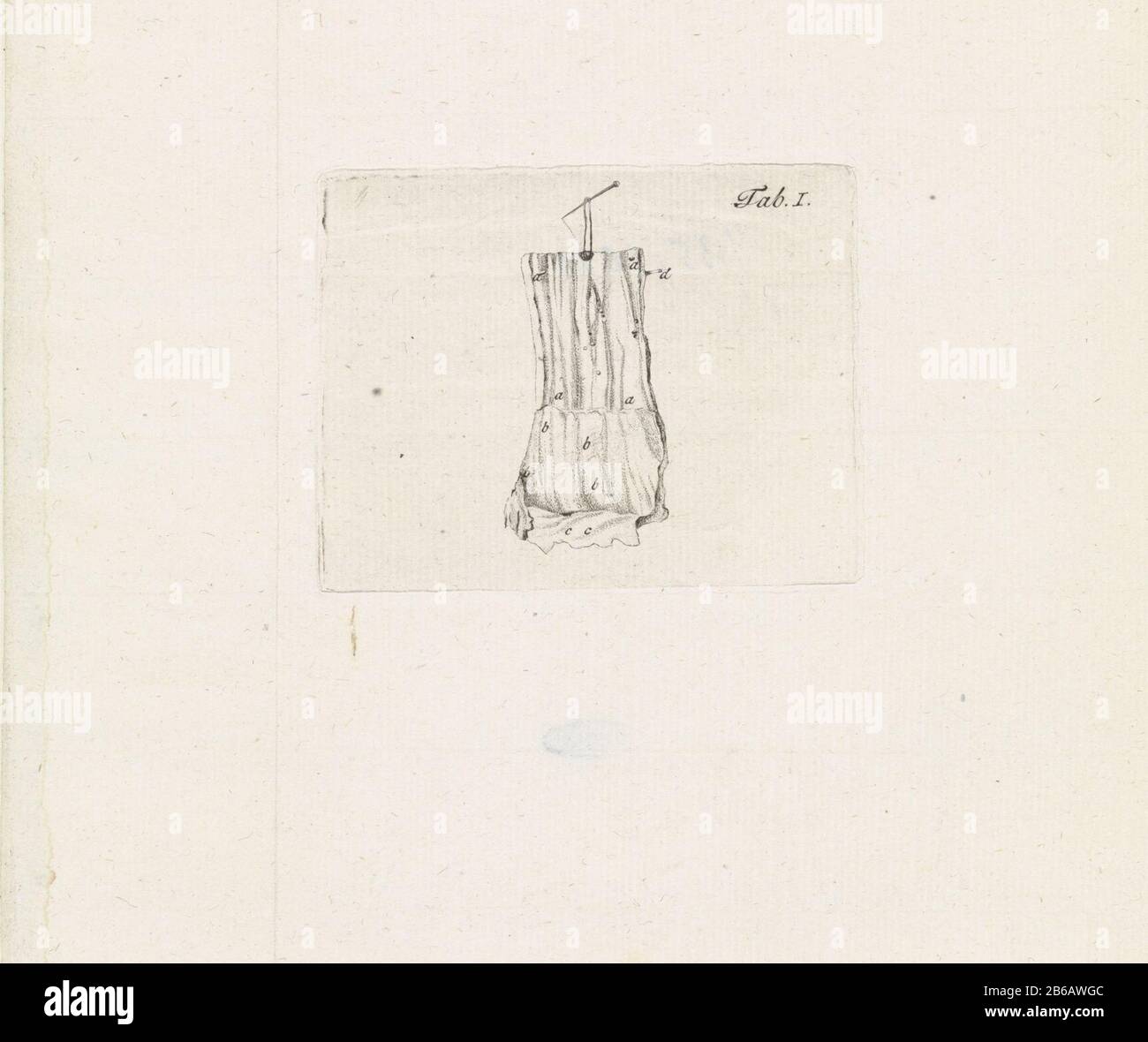 Immagine anatomica illustrazione anatomica. Destra: Scheda. I. giornale di un libro sull'anatomia della lichaam umana. Produttore : stampatore: Robbert MuysPlats fabbricante: Rotterdam Data: 1785 caratteristiche Fisiche: Acquaforte materiale: Carta Tecnica: Acquaforte dimensioni: Bordo della lastra: H 77 mm × b 98 mmToelichtingPrent di: Bleuland, Janus. Observationes Anatomico-medicae la struttura esofagea di sana et morbosa. Leyden: Abraham E Jan Honkoop, 1785. Oggetto: Fisiologia e anatomia (+ ricerca scientifica) Foto Stock