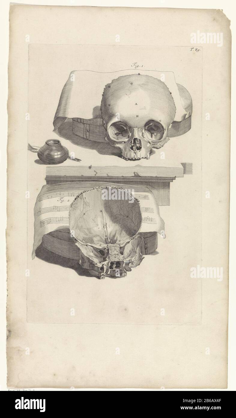 Studio anatomico di uno studio anatomico del cranio della parte anteriore e  interna di un cranio . Dietro il cranio un foglio musicale. In alto a  destra numerato T. 89. Produttore :