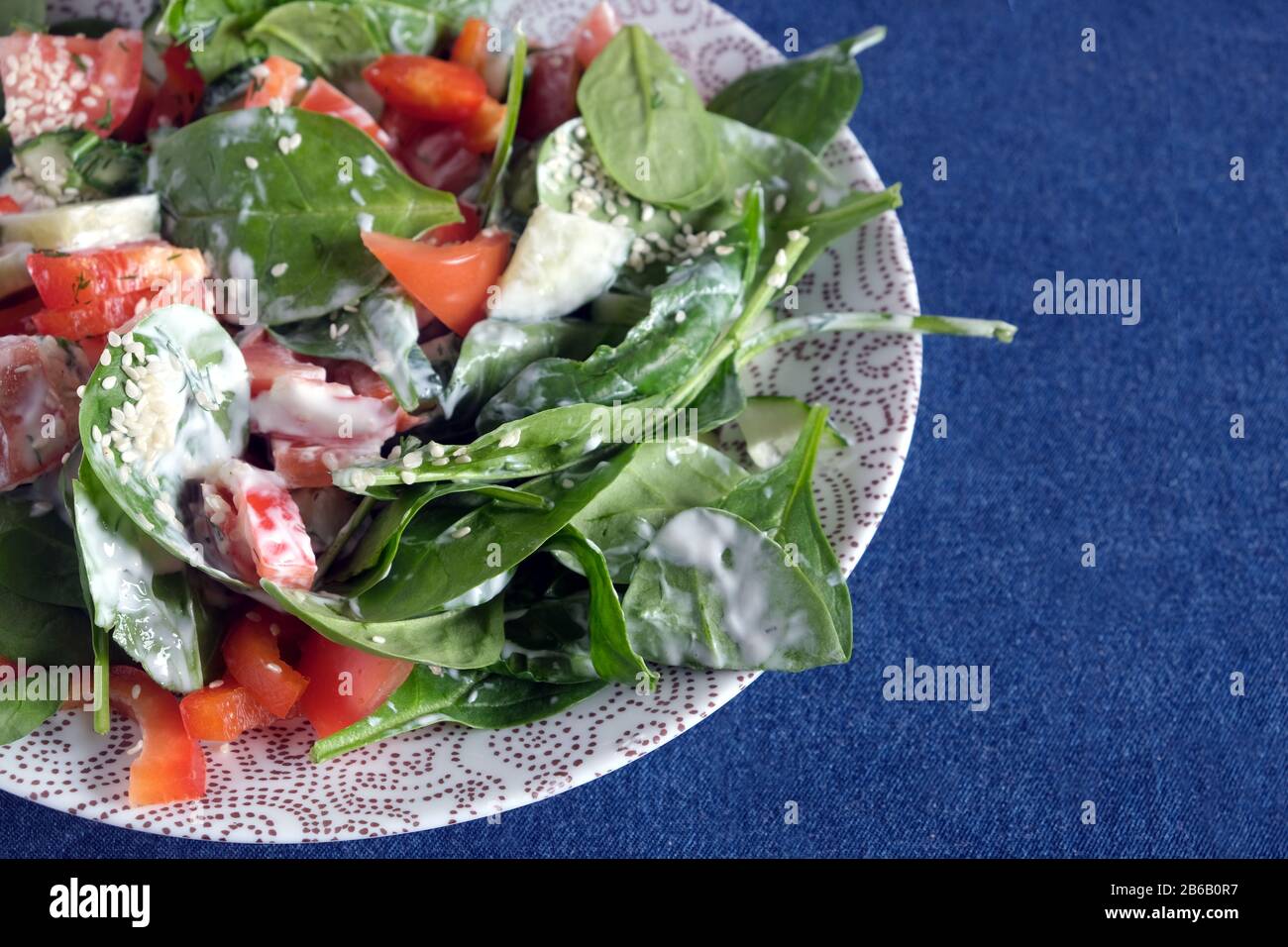 Gustosa insalata leggera vegetariana sana a basso contenuto calorico a base di verdure fresche crude e yogurt su piastra bianca rotonda su tovaglia blu denim top fragment vie Foto Stock