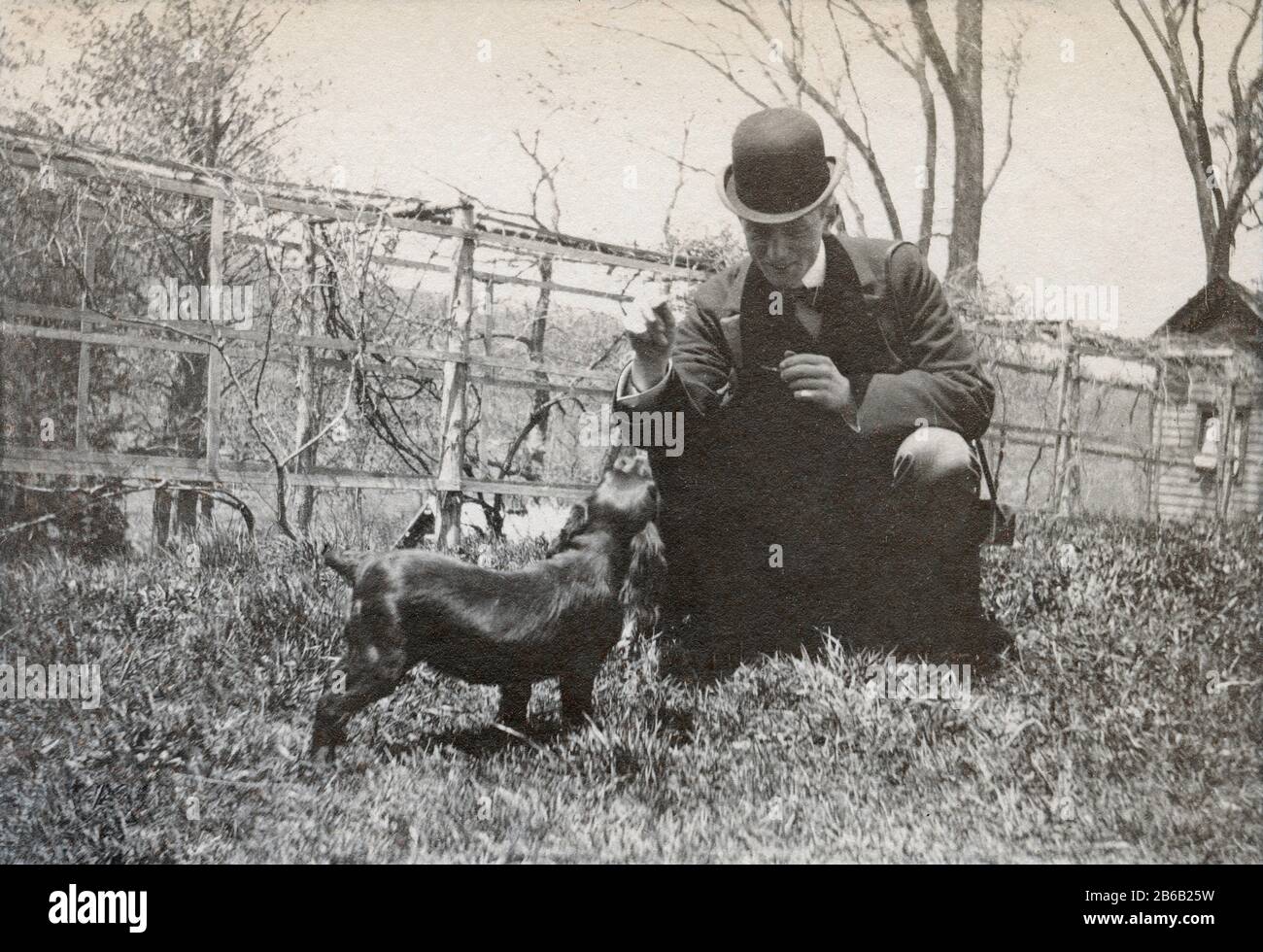 Antiquariato luglio 1898 fotografia, uomo vittoriano con cani spagnoli in cortile. Posizione esatta sconosciuta, probabilmente New York. FONTE: FOTOGRAFIA ORIGINALE Foto Stock