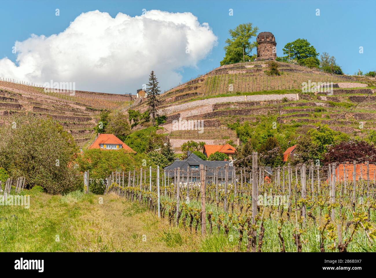 Bismarck Tower, un punto di riferimento nei Vigneti di Radebeul, Dresda, Sassonia, Germania Foto Stock