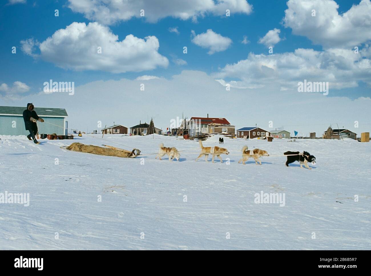 Eskimo Hunter indigeno sta per uscire con il suo cane tom per l'inverno. Caccia Foto Stock