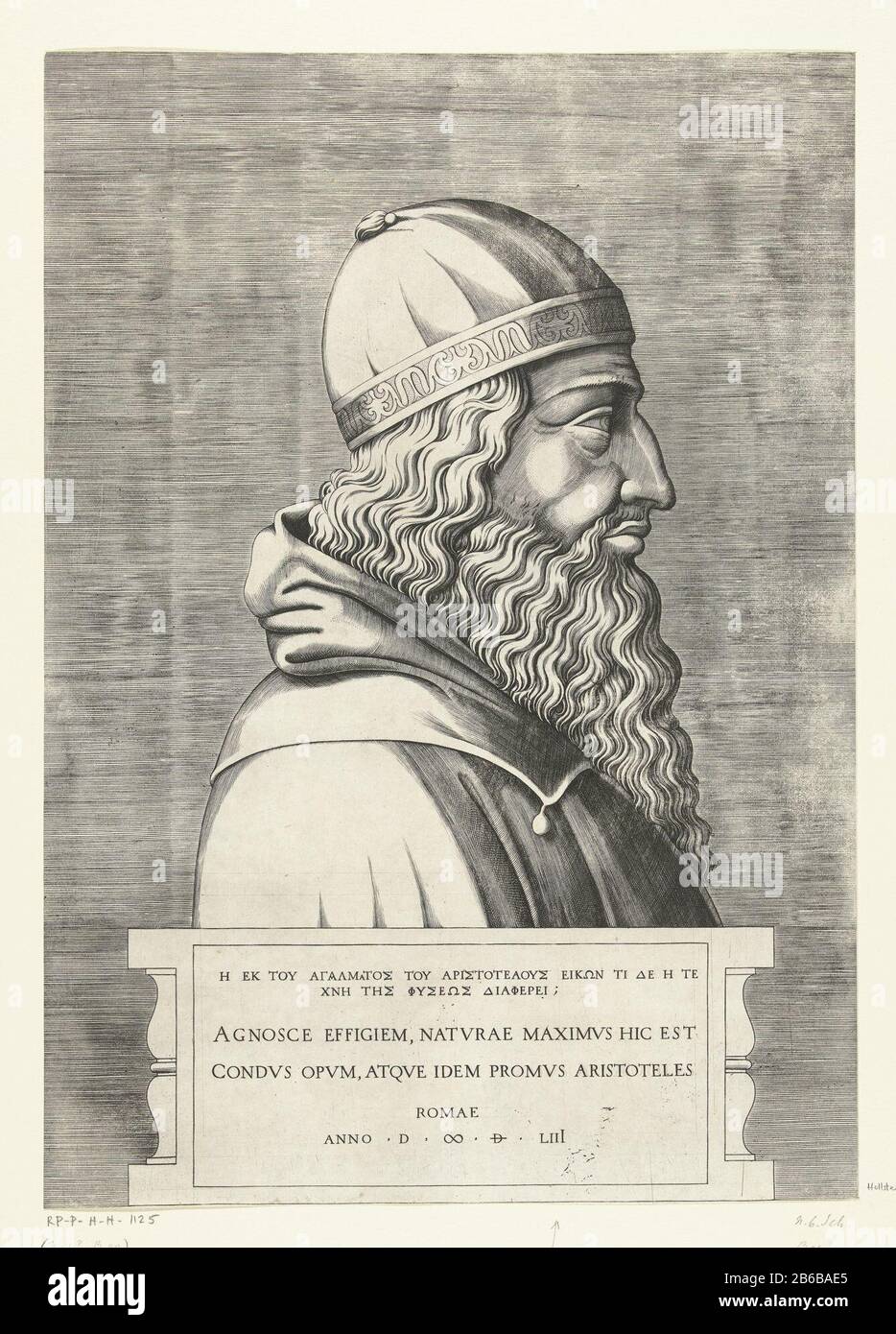 Aristotele, in profilo a destra Aristotele, in profilo a destra con capelli  ricci molto lunghi e barba curly, indossando cappello. Busto in piedi su un  piedistallo. Lo sfondo è completamente e regolarmente