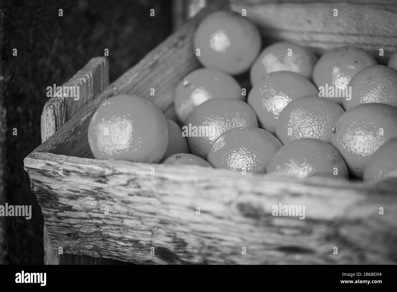 vista ravvicinata delle arance fresche Foto Stock