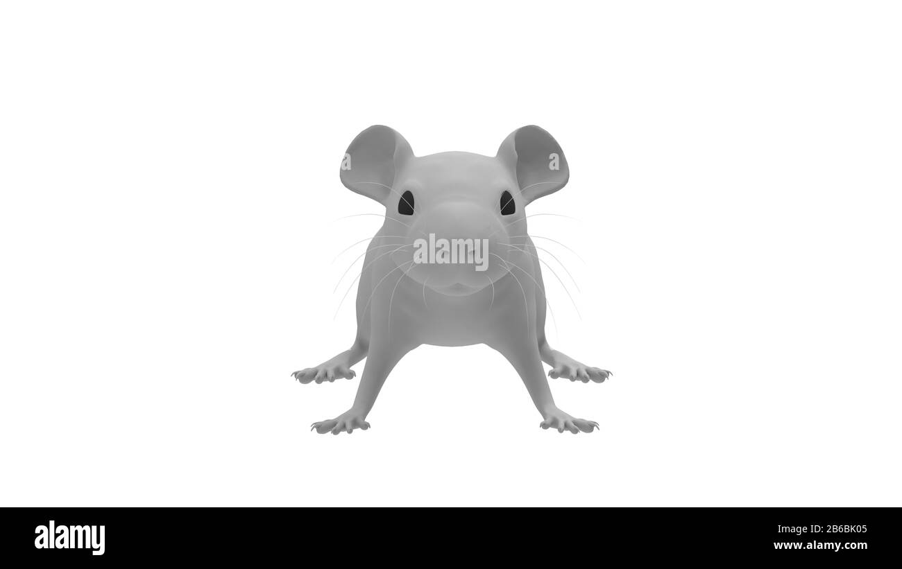 3D rendering di un animale di topo di ratto piccolo roditore isolato su sfondo bianco Foto Stock