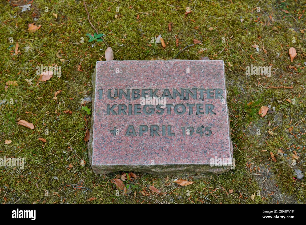 Grab, Unbekannter Toter, Gedenkstätte, Kesselschlacht bei Halbe, Brandeburgo, Deutschland Foto Stock