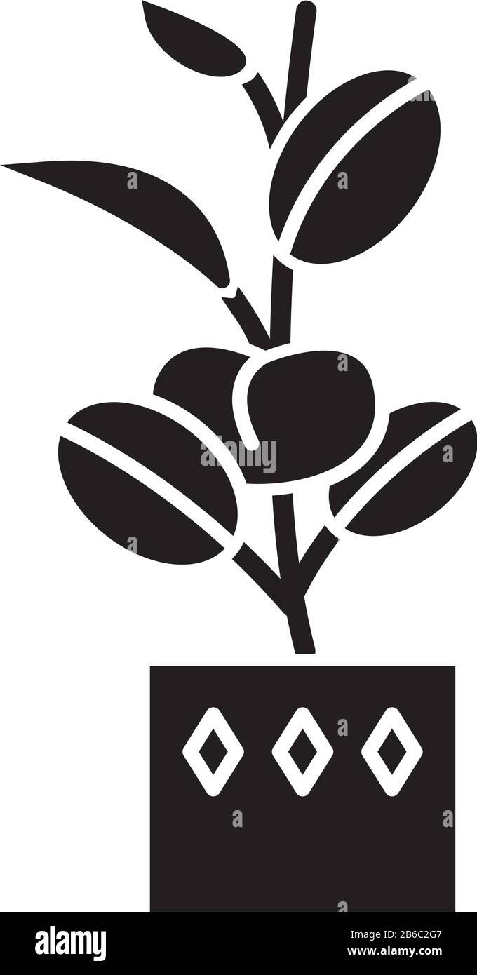 Icona glifo nero Ficus elastica. Gomma fig. Albero indiano. Pianta coperta incapsulata con foglie ovali. Casa decorativa frondosa. Arredamento della casa. Silhouette Illustrazione Vettoriale