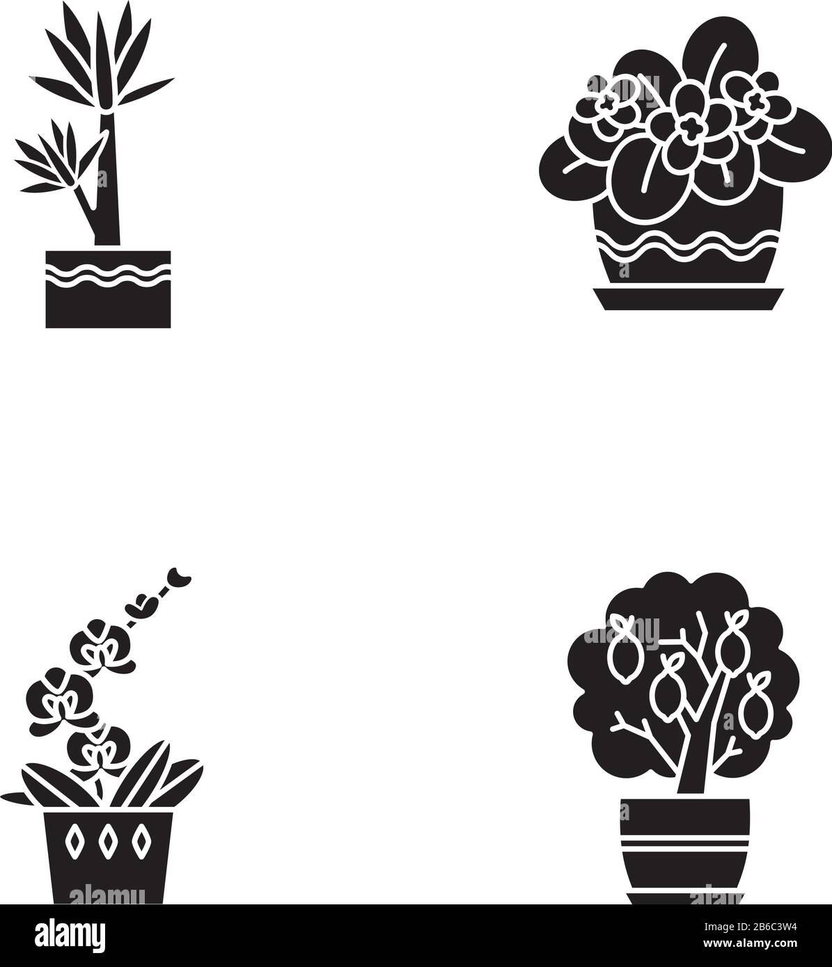Decorazioni per interni piante glyph nero icone impostare su spazio bianco. Piante Domestiche. Piante addomesticate. Orchidea, yucca. Agrumi in miniatura, violetto africano Illustrazione Vettoriale