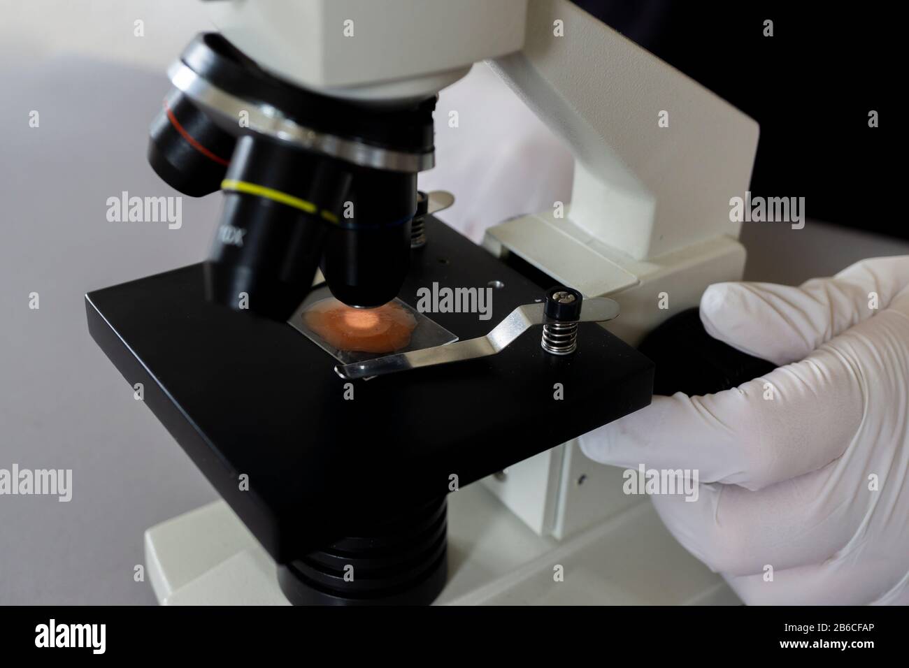 Close-up di scienziato mani con microscopio, esaminando campioni di liquido e Foto Stock