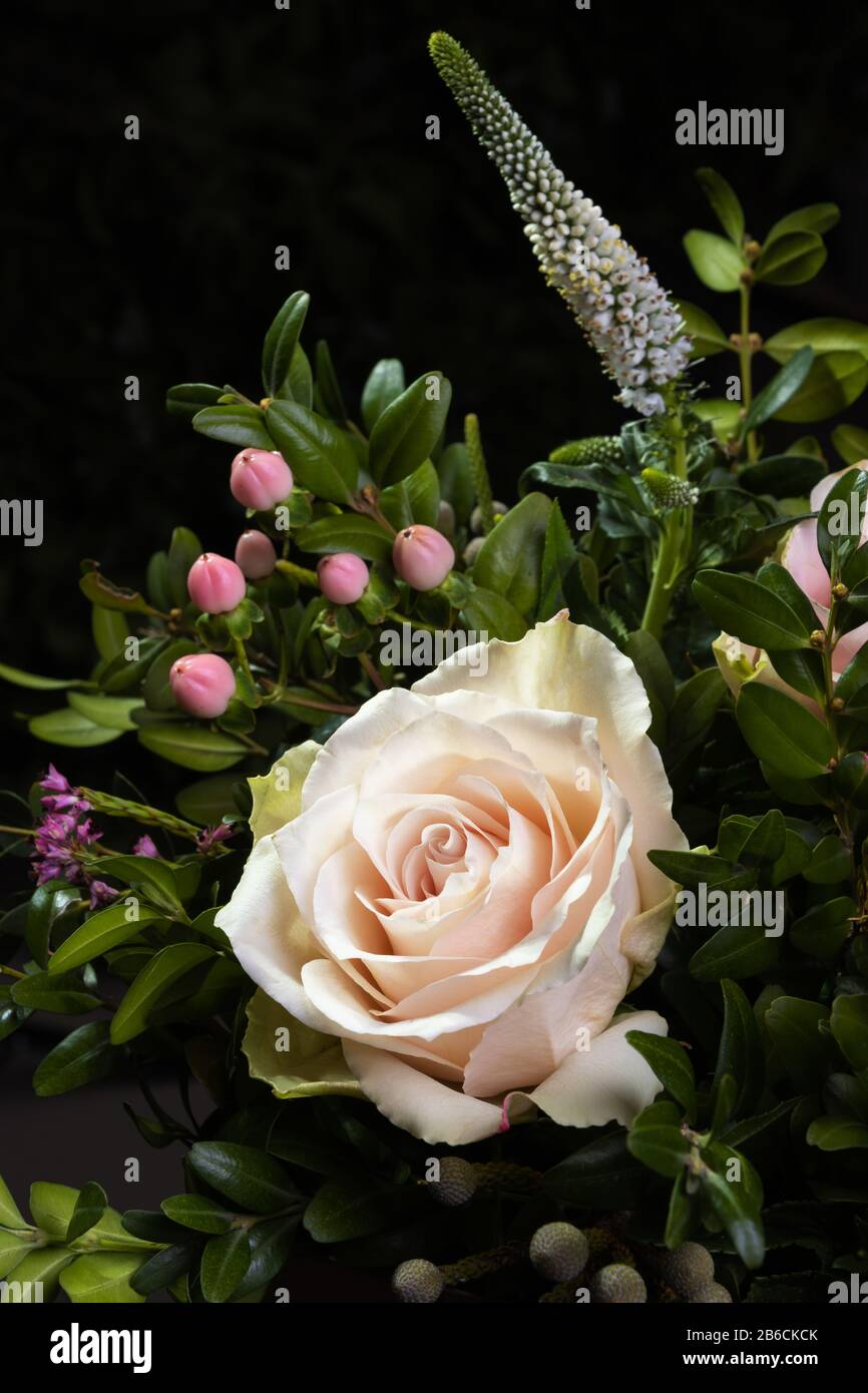 Bel bouquet di closeup con rosa crema, foto verticale. Utile per biglietti d'auguri, instagram e stampa Foto Stock
